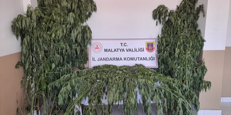 Malatya'da uyuşturucu operasyonlarında 2 zanlı tutuklandı
