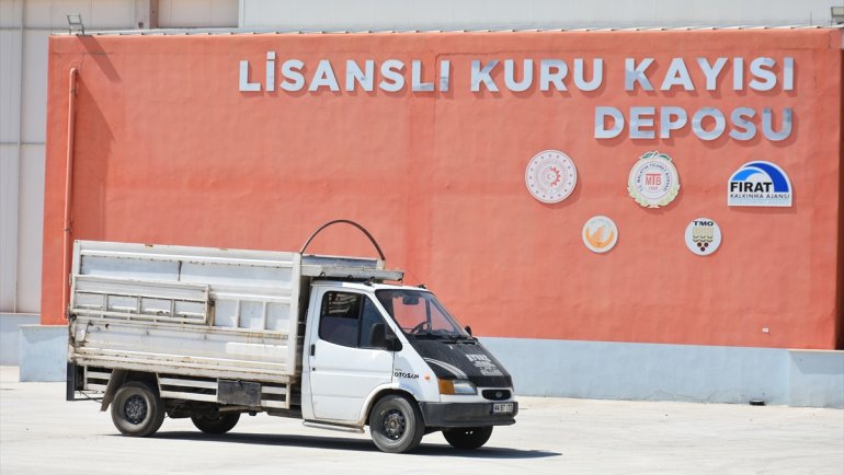 Malatya'da kayısı üreticilerinin lisanslı depoya ilgisi artıyor
