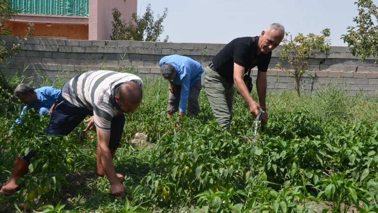 Muş'ta öğretmen ve öğrenciler yetiştirdikleri ürünleri ihtiyaç sahiplerine dağıtıyor