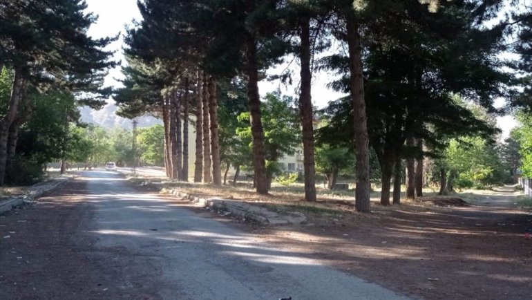 Tatvan'da 65 dönümlük alana millet bahçesi yapılacak