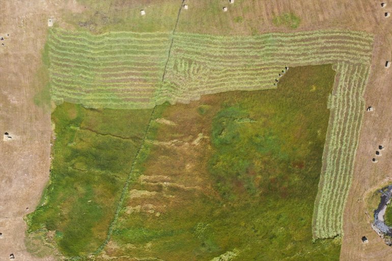 Tırpanla ot biçen çiftçiler, zorlu işlerini şarkılarla eğlenceye dönüştürüyor13