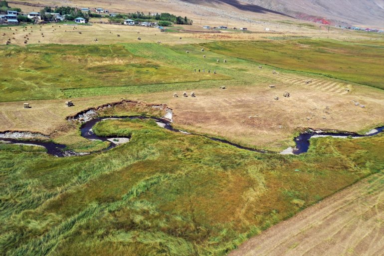 Tırpanla ot biçen çiftçiler, zorlu işlerini şarkılarla eğlenceye dönüştürüyor14