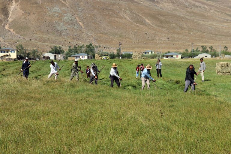 Tırpanla ot biçen çiftçiler, zorlu işlerini şarkılarla eğlenceye dönüştürüyor17