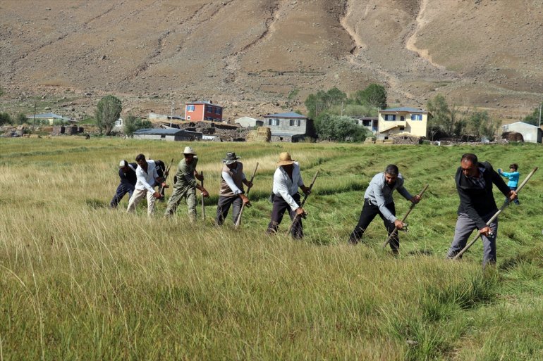 Tırpanla ot biçen çiftçiler, zorlu işlerini şarkılarla eğlenceye dönüştürüyor20