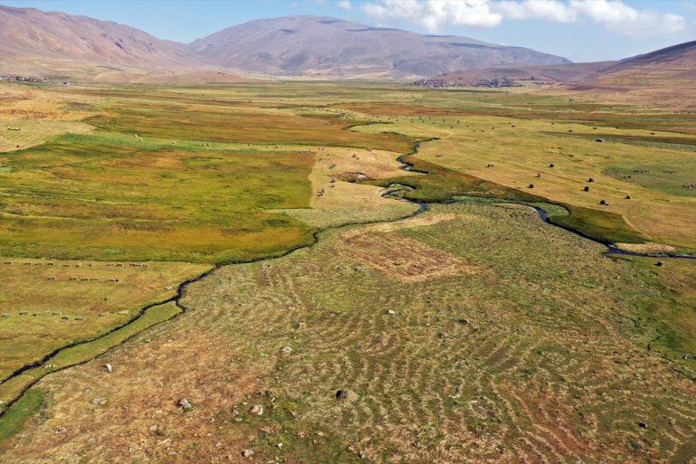 Tırpanla ot biçen çiftçiler, zorlu işlerini şarkılarla eğlenceye dönüştürüyor3