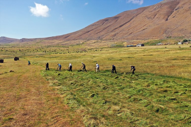 Tırpanla ot biçen çiftçiler, zorlu işlerini şarkılarla eğlenceye dönüştürüyor9