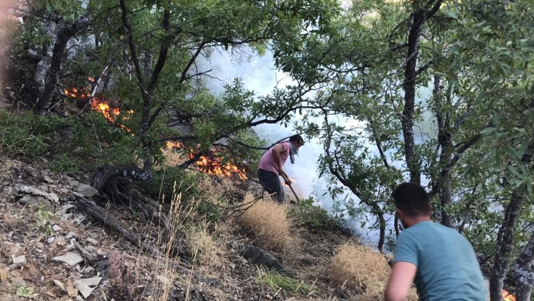 Tunceli'de ormanlık alanda çıkan örtü yangını söndürüldü