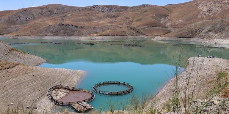 Van'da 38 tesiste alabalık üretimi yapılıyor