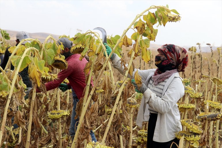 işçileri - mesaisinde Ağrı
