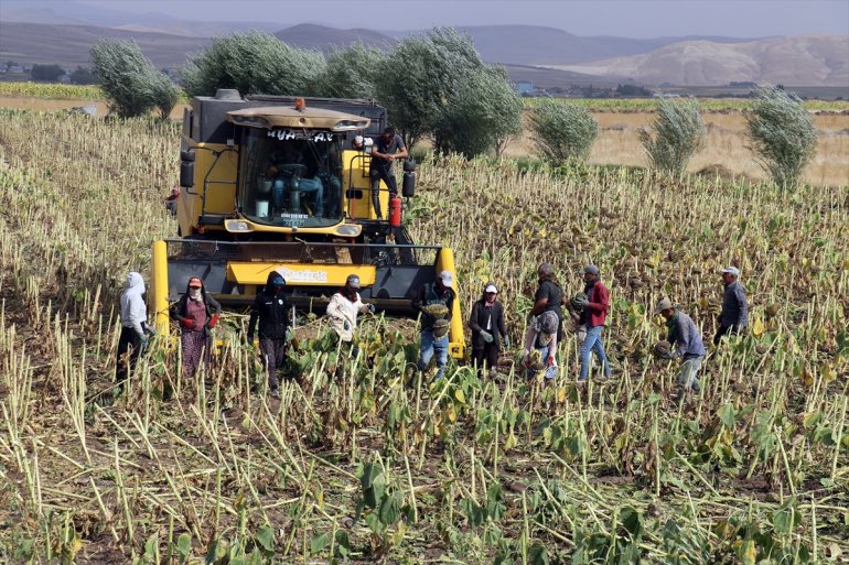 - mesaisinde Mevsimlik işçileri tarım Ağrı