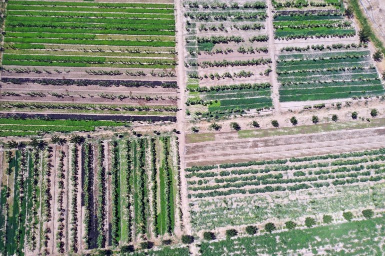 yaşanıyor bolluğu bostanlarında ürün Ağrı