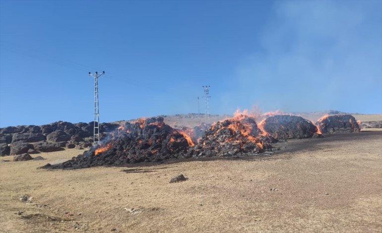 Ağrı'da yaklaşık 5 bin balya ot yandı
