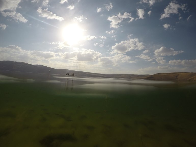 Balık balık görüntülendi yavruları yumurtadan Gölü