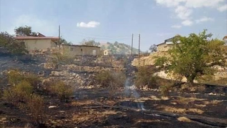 Baskil'de köyde çıkan yangın söndürüldü