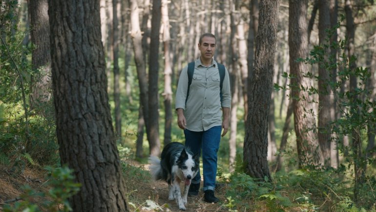 Dyson ve National Geographic İstanbul'da hava kirliliğini analiz etti