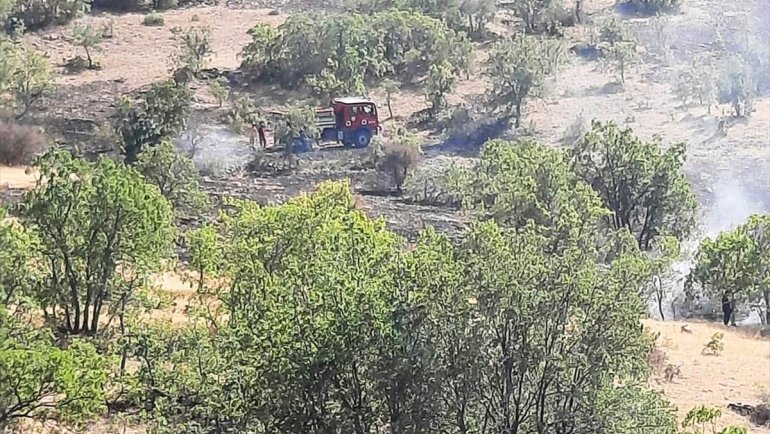 Elazığ’da otluk alanda çıkan ve ormanlık alana sıçrayan yangın söndürüldü 1