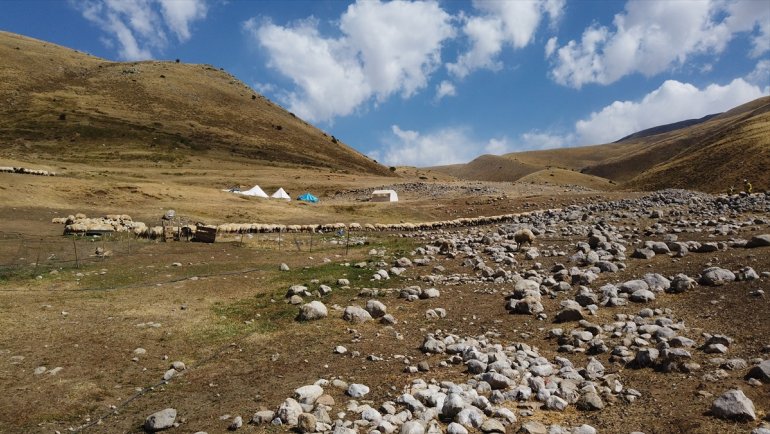 Tescilli Erzincan tulum peynirinin yayladan sofraya yolculuğu
