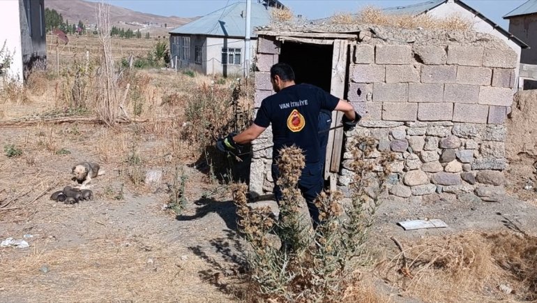 Foseptik çukuruna düşen köpek yavrusunu itfaiye ekipleri kurtardı