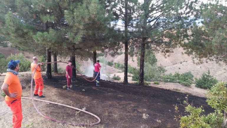 Genç'te çıkan örtü yangını söndürüldü