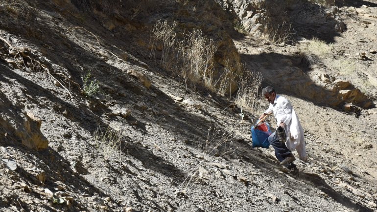 Hakkarili arıcının dağlardan güçlükle topladığı kaya balı ilgi görüyor1