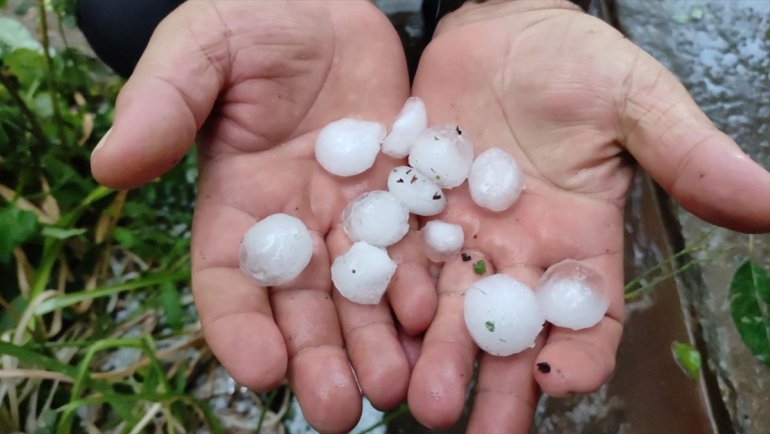 Kars'ta etkili olan dolu meyve bahçelerine zarar verdi