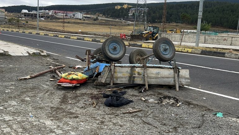 Kars'ta kargo aracının çarptığı at arabasındaki kişi ağır yaralandı