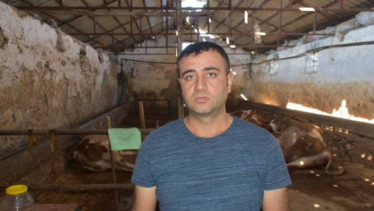 Malatya'da yıldırım isabet eden ahırdaki 5 büyükbaş hayvan telef oldu