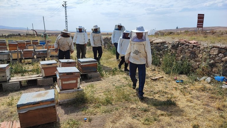 Özalp'ta arılı kovan desteği verilen arıcılar bal hasadına başladı