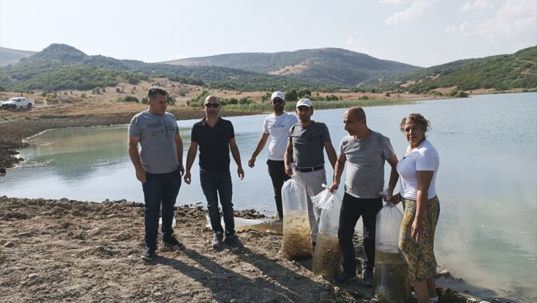 Tunceli'deki Günboğazı Göleti'ne 100 bin pullu sazan yavrusu bırakıldı