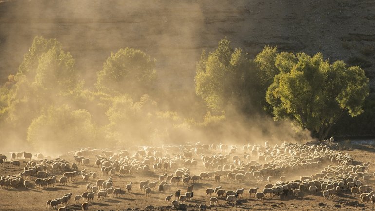 Göçerlerin Munzur ve Mercan Dağları'ndan köylerine zorlu dönüşü başladı