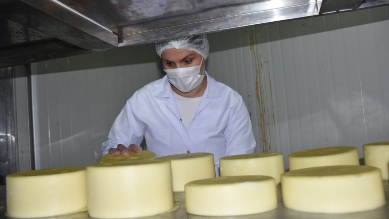 Türkiye'nin yöresel peynirleri Kars'ta buluşacak