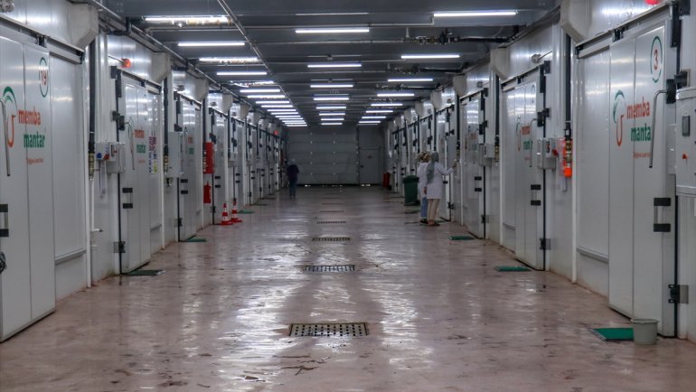 Van'da devlet desteğiyle kurulan tesisten 20 şehre mantar satılıyor