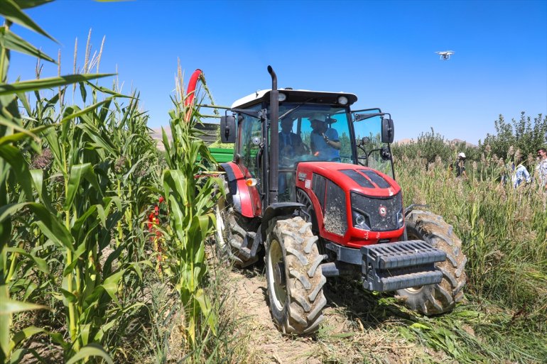 Van'da devlet desteğiyle yetiştirilen silajlık mısırın hasadına başlandı
