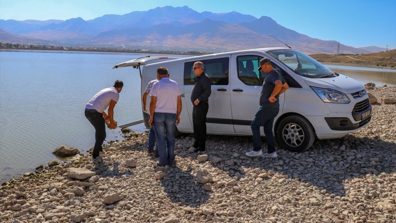 Van'da göl ve göletlere 1 milyon sazan yavrusu bırakıldı