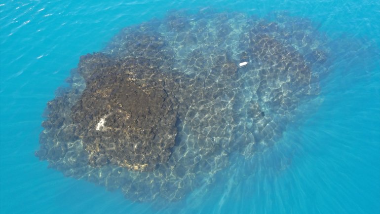 Van Gölü'nde 32,2 metre uzunluğunda mikrobiyalit görüntülendi