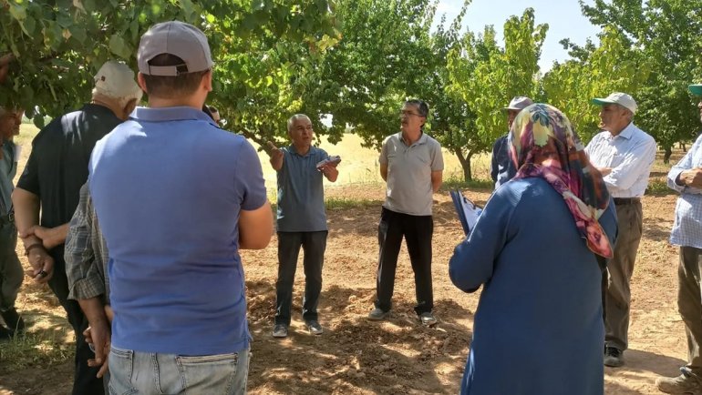 Yeşilyurt'ta çiftçilere budama eğitimi verildi