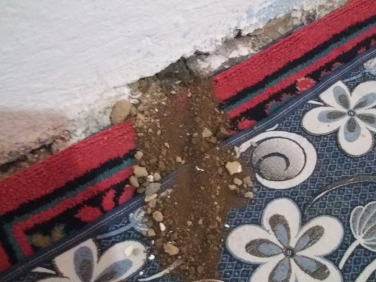 Yılanların yuva yaptığı evlerinde uyuyamıyorlar3