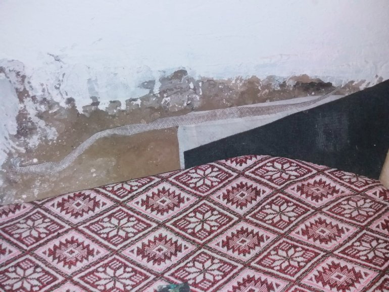 Yılanların yuva yaptığı evlerinde uyuyamıyorlar4