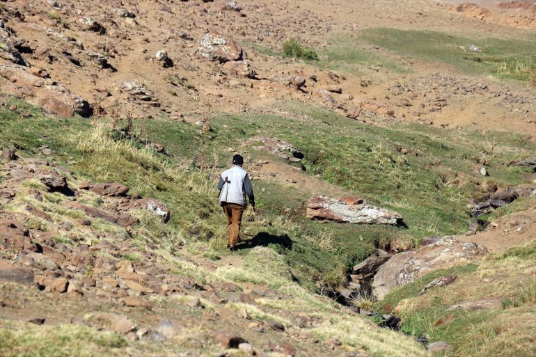 AĞRI 40 geçimini başladığı Çocuk - yaşta çobanlıkla sağlıyor yıldır 4