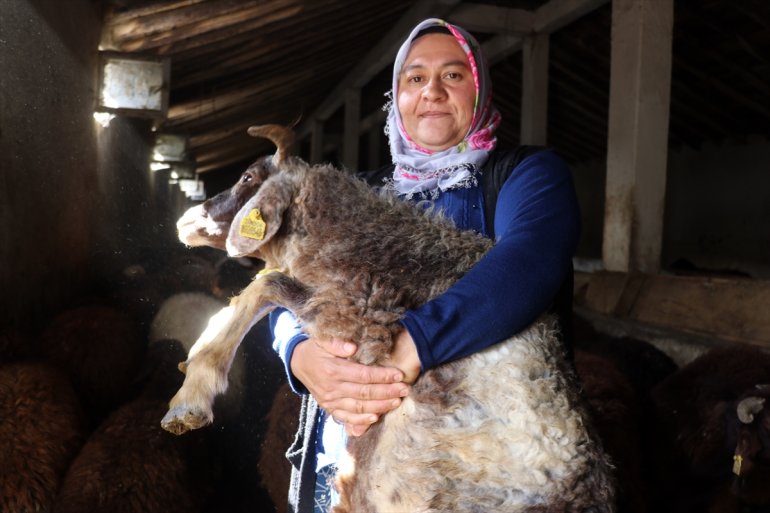 Ağrılı Destekle hedefi koyuna AĞRI - 500 kadın sürü sahibi çiftçinin ulaşmak olan 4