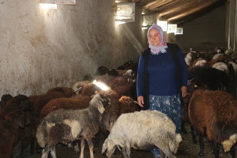 kadın sürü sahibi Ağrılı olan 500 Destekle AĞRI - ulaşmak hedefi koyuna çiftçinin 6