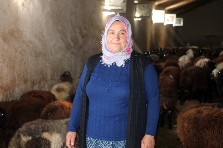 sürü çiftçinin hedefi Ağrılı 500 AĞRI kadın koyuna ulaşmak olan Destekle - sahibi 7