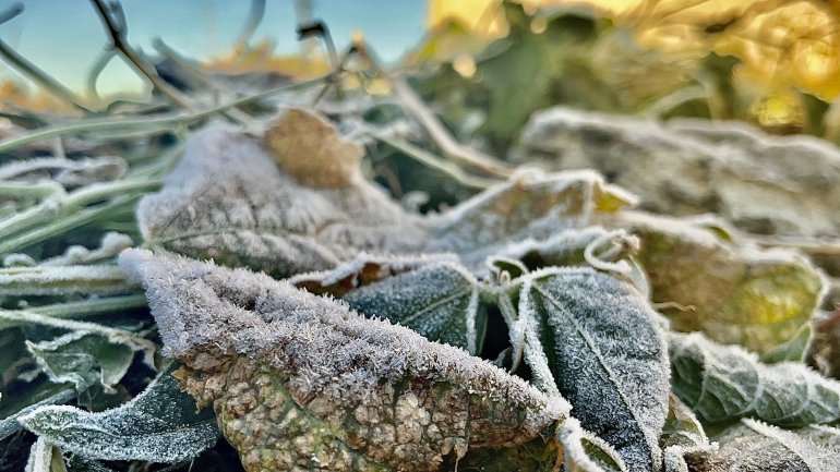 Ağrı dondu, her yer buz tuttu1