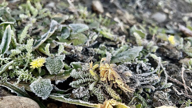 Ağrı dondu, her yer buz tuttu4