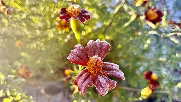 Ağrı dondu, her yer buz tuttu5