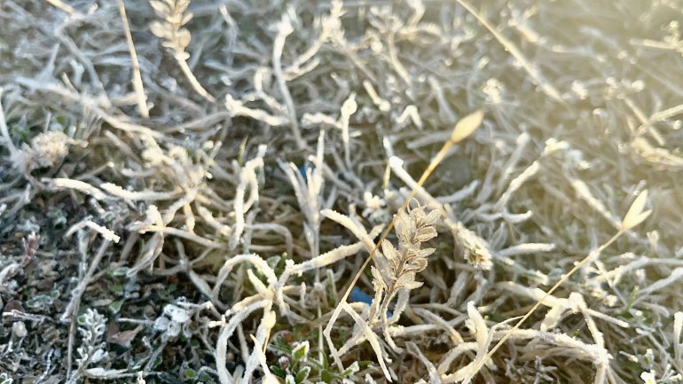 Ağrı dondu, her yer buz tuttu7