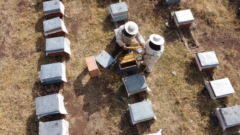 Arıcı çift, ürettiği tescilli balı gurbetçiler aracılığıyla 3 ülkeye gönderiyor
