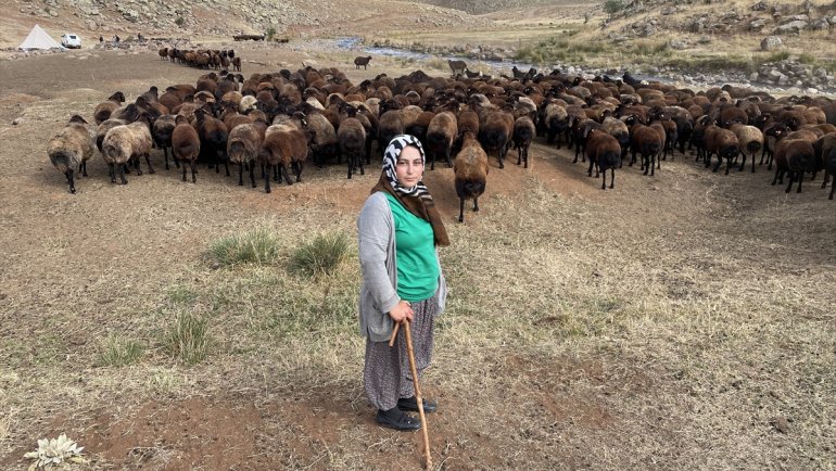 Islah projesi Bingöllü koyun yetiştiricisi kadınların verimli üretim yapmasını sağladı