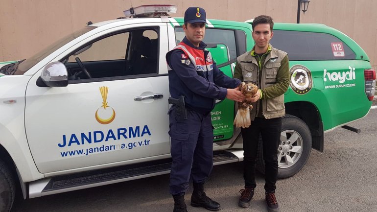 diyadin yaralı şahin jandarma1