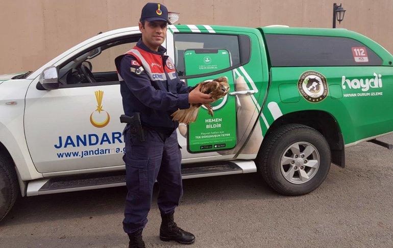 diyadin yaralı şahin jandarma2